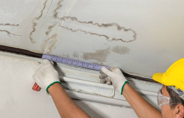 24/7 Emergency Structural Drying experts in Mead, WA