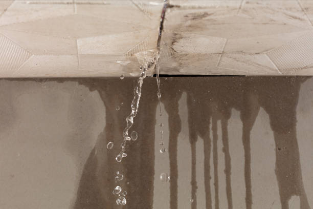 Professional Structural Drying technician working in Mead, WA